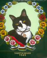 cat